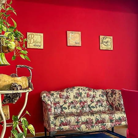Bed & Breakfast La Terrazza * Latina