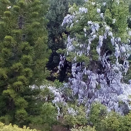 Maison d'hôtes La Terrazza *