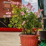 Guest house La Terrazza Latina