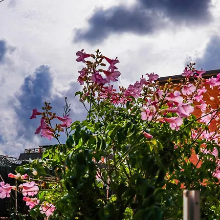 La Terrazza Guest house