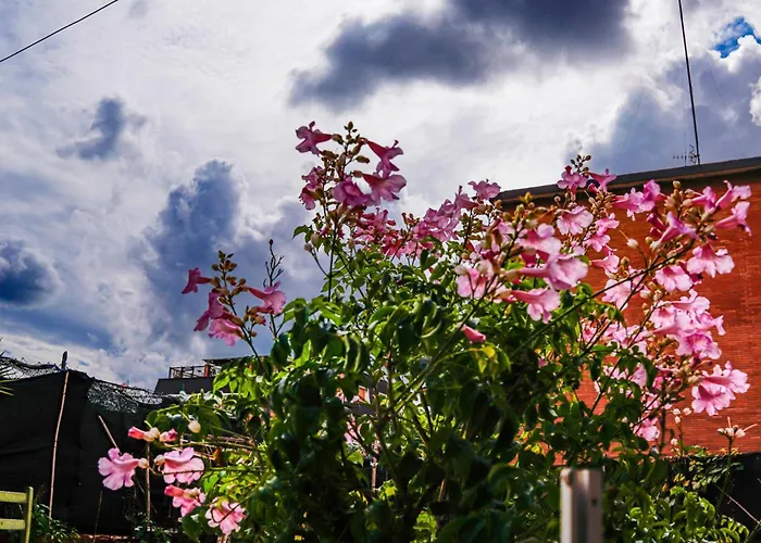La Terrazza Πανσιόν