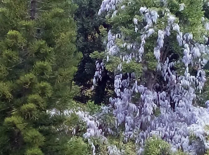 Πανσιόν La Terrazza *
